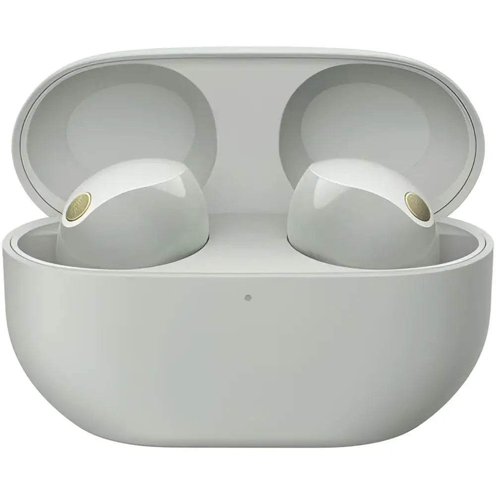 Sony WF-1000XM5 Noise-Canceling True Wireless In-Ear Headphones (Silver) image 0